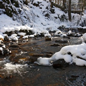 Grūba (Ieriķupīte) Grūba (Ieriķupīte)