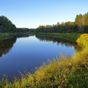 Gauja pie Kazu ieža Gauja pie Kazu ieža