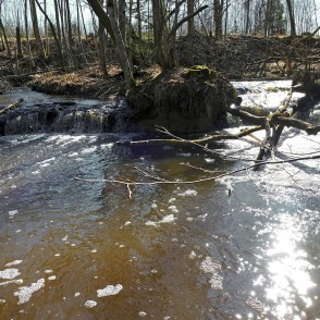 Jaunvilku ūdenskritums (Pilsupes ūdenskritums) Jaunvilku ūdenskritums (Pilsupes ūdenskritums)