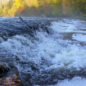 Abavas rumbas tuvplāns Abavas rumbas tuvplāns