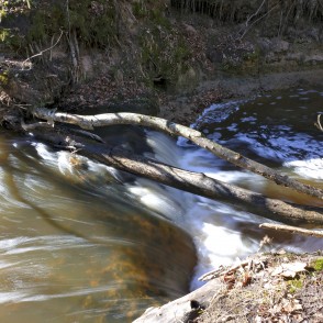 Jaunvilku ūdenskritums (Pilsupes ūdenskritums) Jaunvilku ūdenskritums (Pilsupes ūdenskritums)