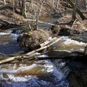 Jaunvilku ūdenskritums (Pilsupes ūdenskritums) Jaunvilku ūdenskritums (Pilsupes ūdenskritums)