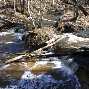 Jaunvilku ūdenskritums (Pilsupes ūdenskritums) Jaunvilku ūdenskritums (Pilsupes ūdenskritums)