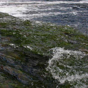 Fragments no Ventas rumbas Fragments no Ventas rumbas