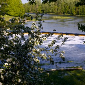 Skats uz Ventas rumbu caur ābeļziediem Skats uz Ventas rumbu caur ābeļziediem