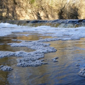 Riežupes rumba pavasarī Riežupes rumba pavasarī