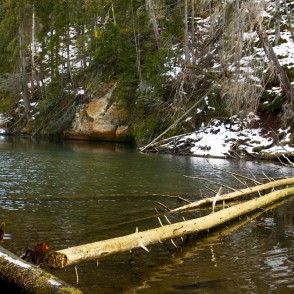 Cīrulīšu klintis Cīrulīšu klintis
