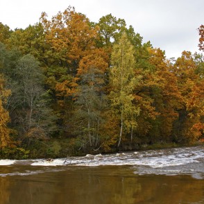 Abavas rumba rudenī Abavas rumba rudenī