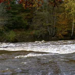 Abavas rumba rudenī Abavas rumba rudenī