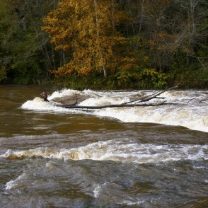Abavas rumba rudenī Abavas rumba rudenī