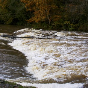 Abavas rumba rudenī Abavas rumba rudenī