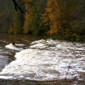 Abavas rumba rudenī Abavas rumba rudenī