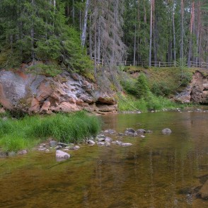 Palu iezis vasarā Palu iezis vasarā