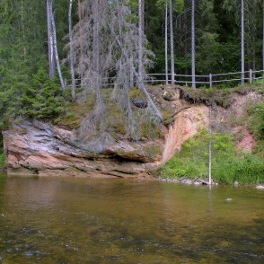 Palu iezis Palu iezis