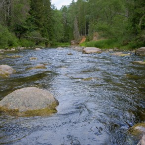 Amatas ainava, tālumā Palu iezis Amatas ainava, tālumā Palu iezis