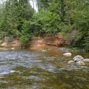 Vizbulīšu klintis Vizbulīšu klintis