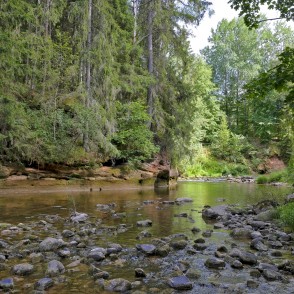 Lustūzis pie Amatas upes Lustūzis pie Amatas upes