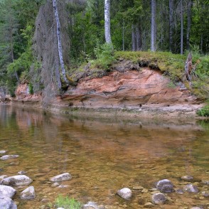 Zemais iezis (Roču iezis) Zemais iezis (Roču iezis)