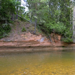 Zemais iezis (Roču iezis) Zemais iezis (Roču iezis)