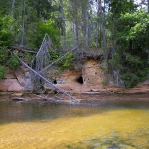 Zemais iezis (Roču iezis) Zemais iezis (Roču iezis)