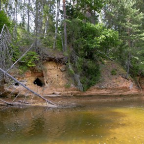 Zemais iezis (Roču iezis) Zemais iezis (Roču iezis)