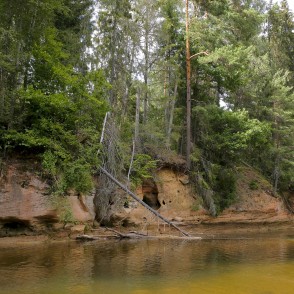 Zemais iezis (Roču iezis) Zemais iezis (Roču iezis)