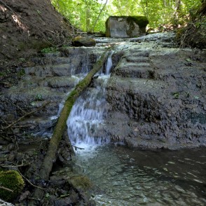 Saules ūdenskritums vasarā Saules ūdenskritums vasarā