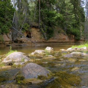 Zemais iezis (Roču iezis) Zemais iezis (Roču iezis)