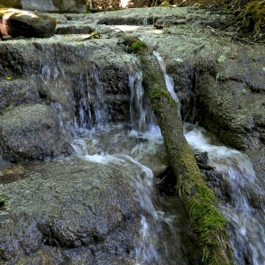 Saules ūdenskritums vasarā Saules ūdenskritums vasarā