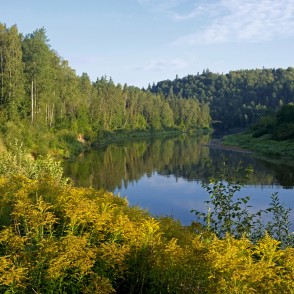 Gauja pie Siguldas Gauja pie Siguldas
