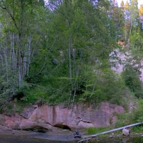 Ainavu kraujas fragments Ainavu kraujas fragments