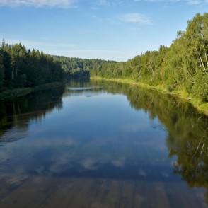 Gauja skatā no kājnieku tilta Gauja skatā no kājnieku tilta
