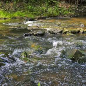 Krāces Vizlas upē Krāces Vizlas upē