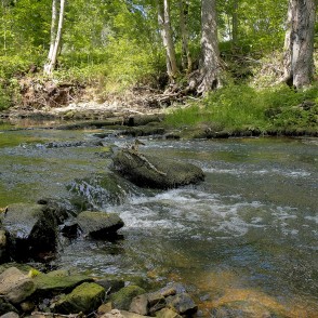 Vizlas upes ainava Vizlas upes ainava