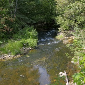 Vizlas upes ainava Vizlas upes ainava