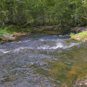 Vizlas upes ainava Vizlas upes ainava