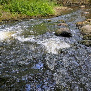 Neliels ūdenskritums Vizlas upē Neliels ūdenskritums Vizlas upē