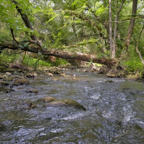 Vizlas upes ainava Vizlas upes ainava