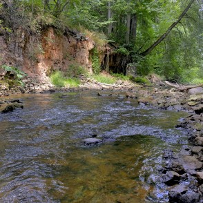 Dolomīta atsegumi Vizlas upes krastā Dolomīta atsegumi Vizlas upes krastā
