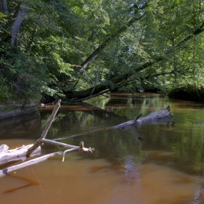 Rojas upe pie Lūrmaņu atsegumiem Rojas upe pie Lūrmaņu atsegumiem