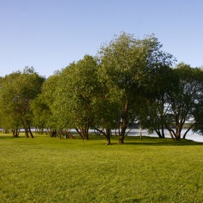 Daugava pie Ikšķiles Daugava pie Ikšķiles