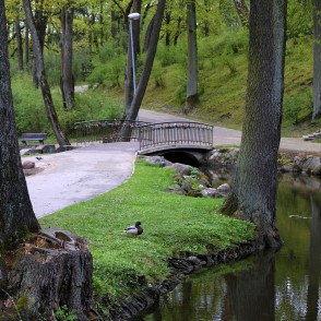 Arkādijas parka ainava Arkādijas parka ainava