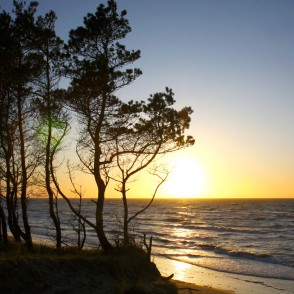 Saulriets Staldzenē Saulriets Staldzenē