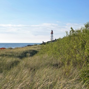 Papes jūrmala un bāka Papes jūrmala un bāka