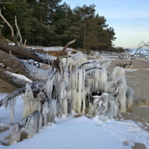 Apledojuši koki Kolkasragā: ziemas piekraste ar ledus veidojumiem Apledojuši koki Kolkasragā: ziemas piekraste ar ledus veidojumiem