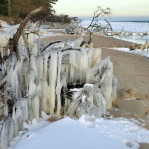 Kolkasraga ziemas piekraste ar apledojušiem kokiem un lāstekām pludmalē Kolkasraga ziemas piekraste ar apledojušiem kokiem un lāstekām pludmalē