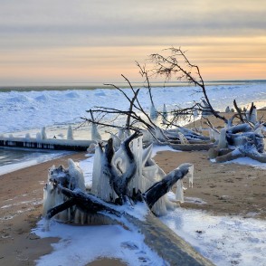 Kolkasraga piekraste saulrietā ar apledojušiem kokiem un sniegotu pludmali Kolkasraga piekraste saulrietā ar apledojušiem kokiem un sniegotu pludmali