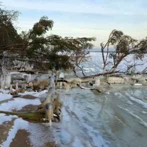Kolkasraga ziemas piekraste ar apledojušiem kokiem un sasalušu jūras malu Kolkasraga ziemas piekraste ar apledojušiem kokiem un sasalušu jūras malu