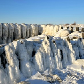 Sniegotie Papes kanāla koka steķi spilgtā ziemas saulē Sniegotie Papes kanāla koka steķi spilgtā ziemas saulē