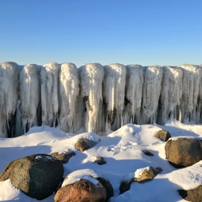 Ledus sienas ieskautie koka pāļi Papes piekrastē Ledus sienas ieskautie koka pāļi Papes piekrastē